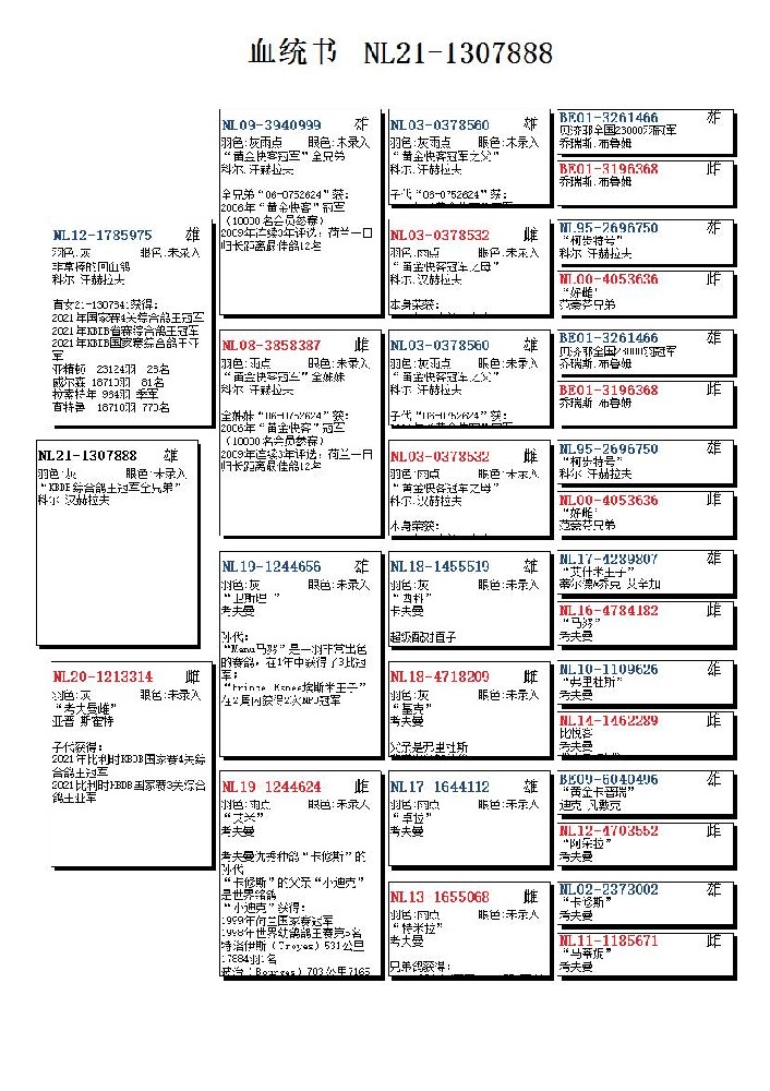 “KBDB鸽王冠军”全兄弟